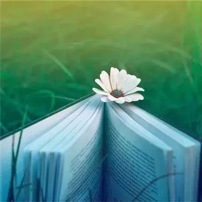 荒野日记内测版下载